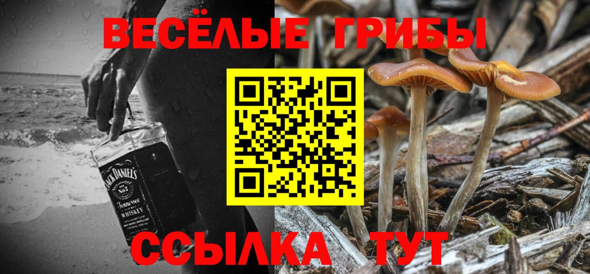 Дивногорск  Псилоцибиновые грибы Magic Shrooms  Вход с VPN  где продают наркотики  Галлюциногенные грибы Cubensis 