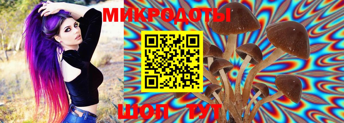 Галлюциногенные грибы MAGIC MUSHROOMS Дивногорск